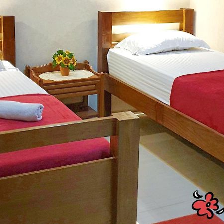 Maple Tree Homestay Maguwo Kültér fotó