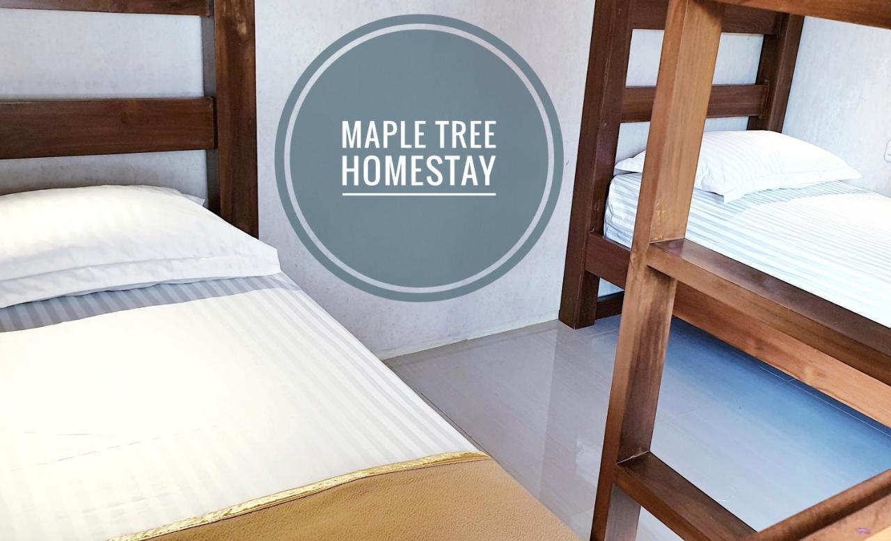 Maple Tree Homestay Maguwo Kültér fotó
