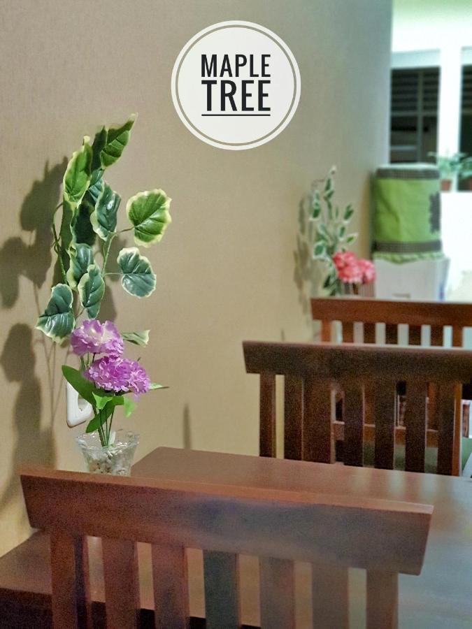 Maple Tree Homestay Maguwo Kültér fotó